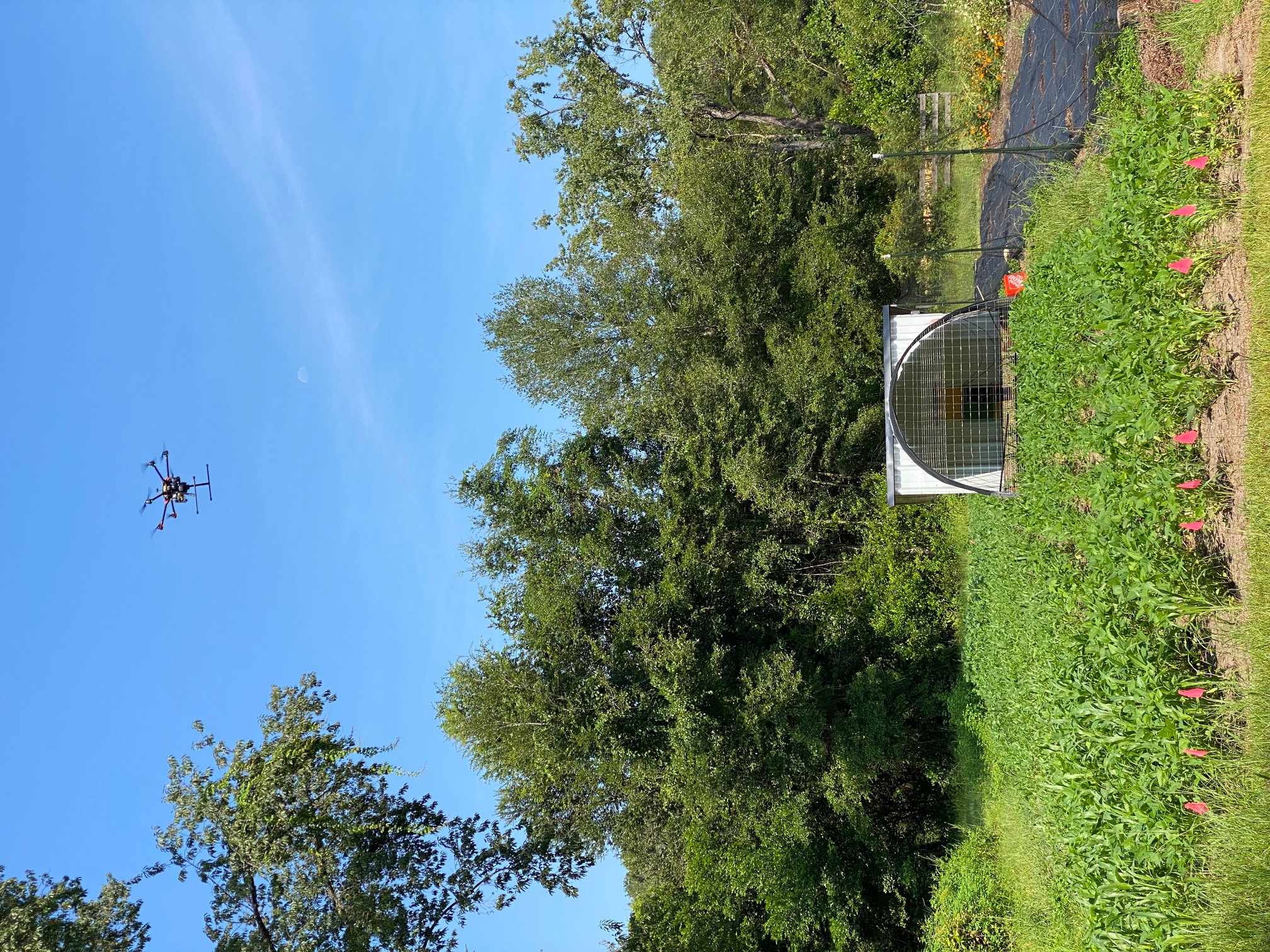 Blue sky over green farm landscape