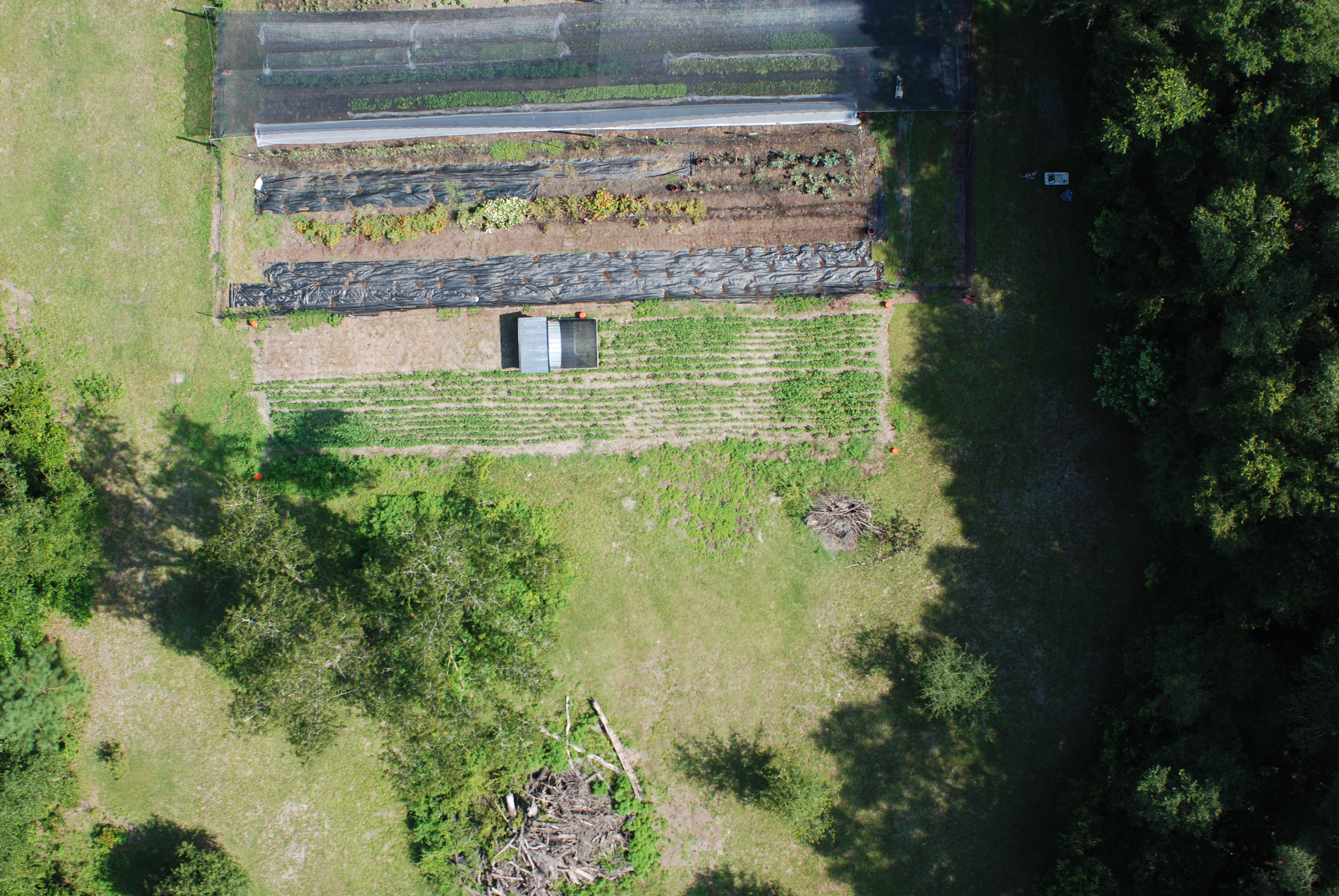 Aerial view of garden beds